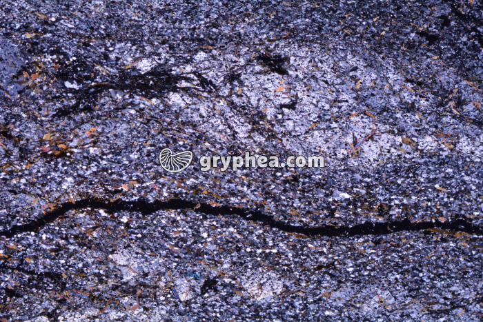 Micaschiste à andalousite LPA x3,5 - gryphea.org